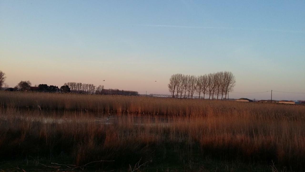 De Molenkreek Villa Sint-Margriete ภายนอก รูปภาพ