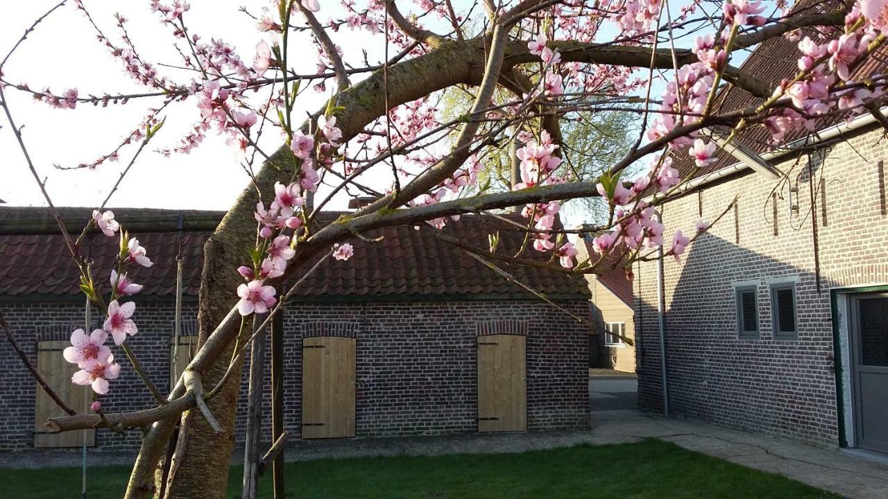 De Molenkreek Villa Sint-Margriete ภายนอก รูปภาพ